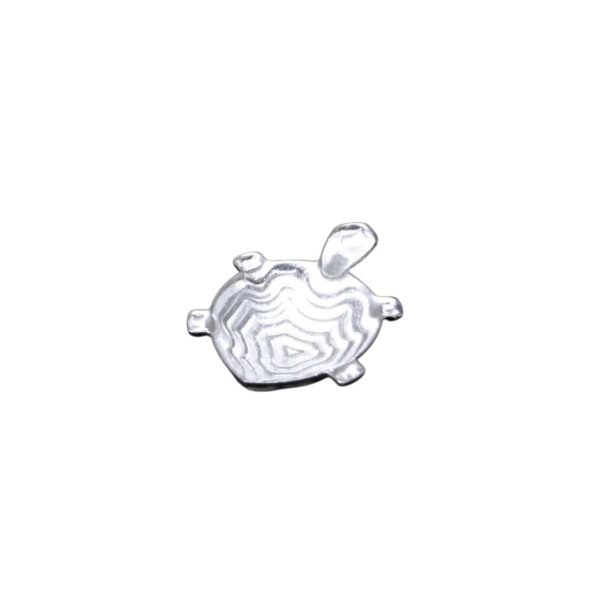 Pure Silver Tortoise - Image 3
